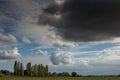 Arable field and poplars beneath a shower