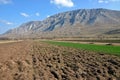 Arable field at spring Royalty Free Stock Photo