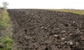 Arable field of chernozem. Royalty Free Stock Photo