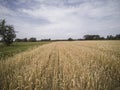 Arable fields seen from above, agriculture Royalty Free Stock Photo