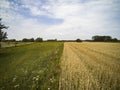 Arable fields seen from above, agriculture Royalty Free Stock Photo