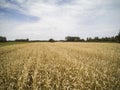 Arable fields seen from above, agriculture Royalty Free Stock Photo