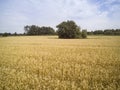 Arable fields seen from above, agriculture Royalty Free Stock Photo