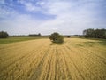 Arable fields seen from above, agriculture Royalty Free Stock Photo