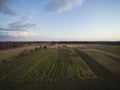 Arable fields seen from above, agriculture Royalty Free Stock Photo