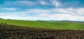 Arable land and field with green wheat, blue sky Royalty Free Stock Photo