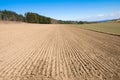 Arable land and forest. Royalty Free Stock Photo