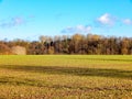 Arable land with forest and blue sky Royalty Free Stock Photo