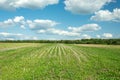 Arable land, forest and white clouds on blue sky Royalty Free Stock Photo