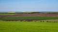 Arable land and green grass fields on clear blue sky. Panorama landscape. Green meadows. Royalty Free Stock Photo