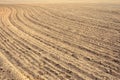 Arable land at harvest time in farmland Royalty Free Stock Photo