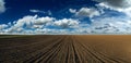 Arable land panorama Royalty Free Stock Photo