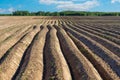 Arable land ploughed field. Cultivated land and soil tillage. Simple country landscape with plowed fields and blue skies