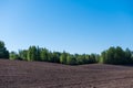 Arable land in spring with distant forest Royalty Free Stock Photo