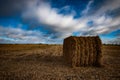 Arable landscape Royalty Free Stock Photo