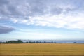 Arable landscape of Lincolnshire. Royalty Free Stock Photo