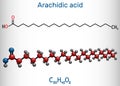 Arachidic acid, eicosanoic, icosanoic acid molecule. Structural chemical formula and molecule model Royalty Free Stock Photo