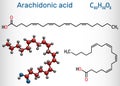 Arachidonic acid, AA, ARA molecule. It is unsaturated omega-6 fatty acid, is precursor in biosynthesis of prostaglandins, Royalty Free Stock Photo