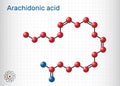 Arachidonic acid, AA, ARA molecule. It is unsaturated omega-6 fatty acid, is precursor in biosynthesis of prostaglandins, Royalty Free Stock Photo