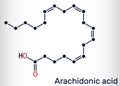 Arachidonic acid, AA, ARA molecule. It is unsaturated omega-6 fatty acid, is precursor in biosynthesis of prostaglandins,