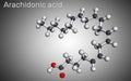 Arachidonic acid, AA, ARA molecule. It is unsaturated omega-6 fatty acid, is precursor in biosynthesis of prostaglandins,