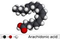 Arachidonic acid, AA, ARA molecule. It is unsaturated omega-6 fatty acid, is precursor in biosynthesis of prostaglandins, Royalty Free Stock Photo
