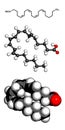 Arachidonic acid (AA, ARA) polyunsaturated omega-6 fatty acid, m Royalty Free Stock Photo