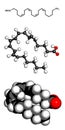 Arachidonic acid (AA, ARA) polyunsaturated omega-6 fatty acid molecule Royalty Free Stock Photo