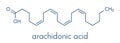 Arachidonic acid molecule. Polyunsaturated omega-6 fatty acid that is a precursor of prostaglandins, prostacyclin, thromboxanes,.