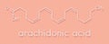 Arachidonic acid molecule. Polyunsaturated omega-6 fatty acid that is a precursor of prostaglandins, prostacyclin, thromboxanes,.