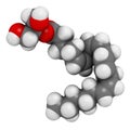 2-Arachidonoylglycerol (2-AG) endocannabinoid neurotransmitter molecule. 3D rendering. Atoms are represented as spheres with