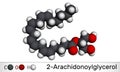 2-Arachidonoylglycerol, 2-AG molecule. It is an endocannabinoid, formed from omega-6 arachidonic acid and glycerol. Molecular