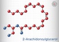 2-Arachidonoylglycerol, 2-AG molecule. It is an endocannabinoid, formed from omega-6 arachidonic acid and glycerol. Molecule model