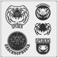 Arachnophobia club emblems. Night dance club, sport team design. Scary spooky spider. Print design for t-shirt.