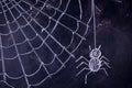 Arachnophobia: Fear of Spiders Royalty Free Stock Photo