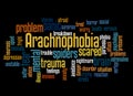 Arachnophobia fear of spiders word cloud concept 3