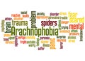 Arachnophobia fear of spiders word cloud concept 2