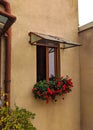 The window with geraniums in an inner courtyard of the old city center - Arad. Arad county, Romania Royalty Free Stock Photo