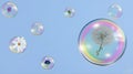 soap bubbles air dandelion Royalty Free Stock Photo