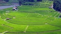 Aragijima Terraced Rice Field in Wakayama, Japan Royalty Free Stock Photo