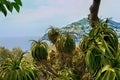 Aragonese Catello. Ischia island view Royalty Free Stock Photo