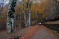 Aragonese Pyrenees in autumn