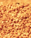 Arahar daal closeup Royalty Free Stock Photo