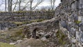 Araisi Stone Walls Medieval Castle Ruins in Latvia, Gauja National Park.