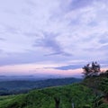 Arak Arak Hill has a story from Jember, East Java