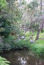 Araluen Botanic Park and gardens Royalty Free Stock Photo