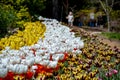 Araluen Gardens - Western Australia Royalty Free Stock Photo