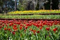 Araluen Gardens - Western Australia Royalty Free Stock Photo