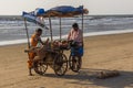 ARAMBOL BEACH, GOA, INDIA - FEBRUARY 23, 2017: Coconuts for sale