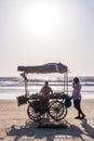 ARAMBOL BEACH, GOA, INDIA - FEBRUARY 23, 2017: Coconuts for sale